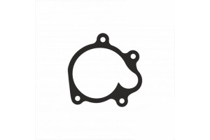 Прокладка помпи TM Racing F05822 Прокладка помпи TM Racing F05822