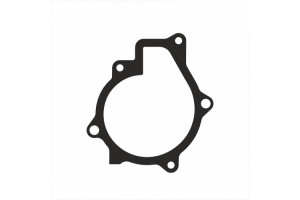 Прокладка помпи Hyundai 251002F000 Прокладка помпи Hyundai 251002F000