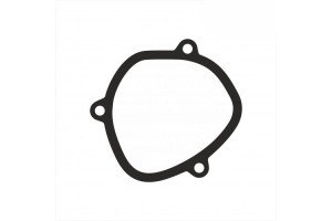 Прокладка клапана KTM 54837006000 та 55537006000
